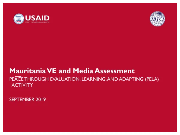 Mauritania VE and Media Assessment