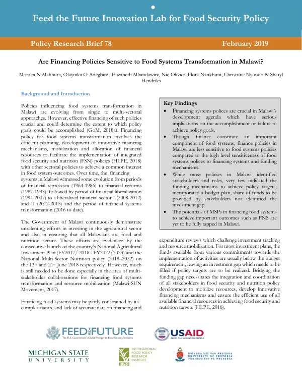 Are Financing Policies Sensitive to Food Systems Transformation in Malawi?
