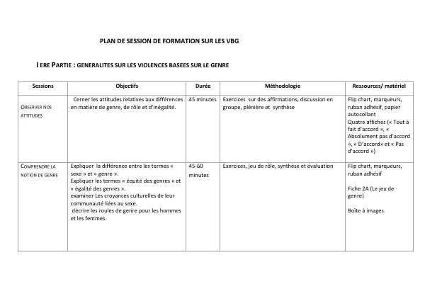 PLAN DE FORMATION SUR LES VIOLENCES BASEES SUR LE GENRE