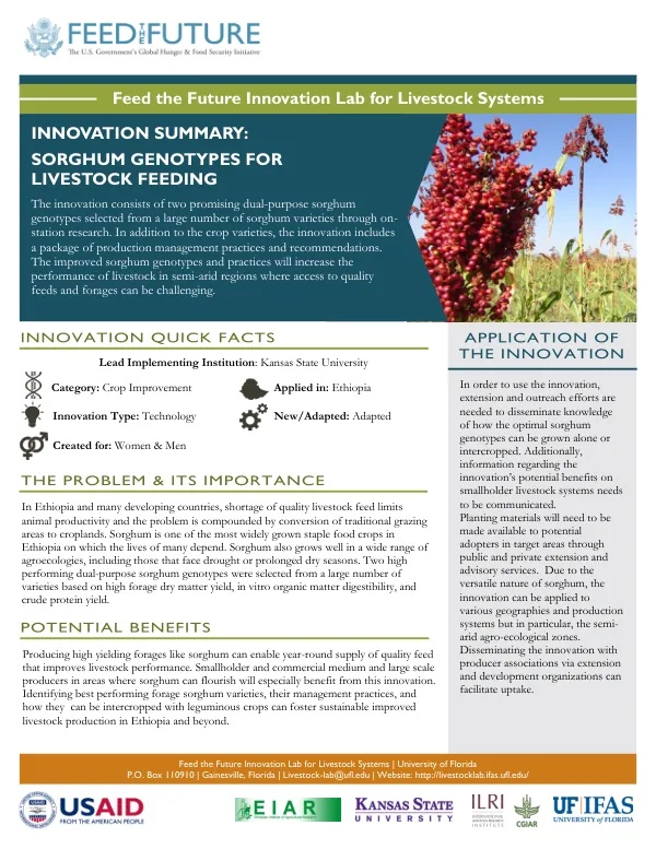 High-Performing Dual-Purpose Sorghum Genotypes for Livestock Feeding