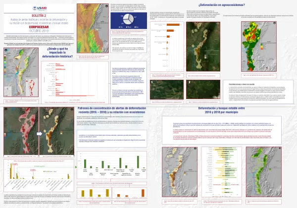 Análisis de alertas históricas y recientes de deforestación y su relación con biodiversidad, ecosistemas y bosque estable