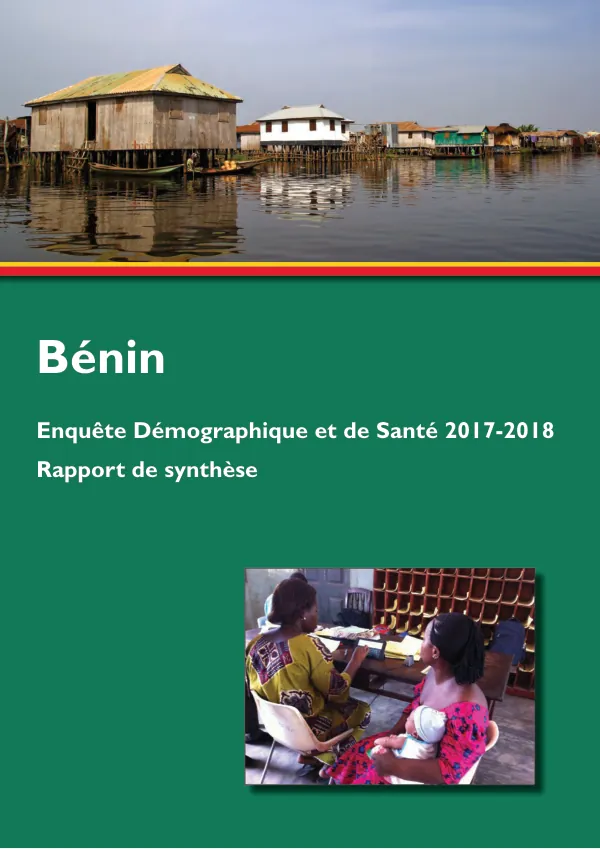 Enquête Démographique et de Santé 2017-2018: Rapport de synthèse