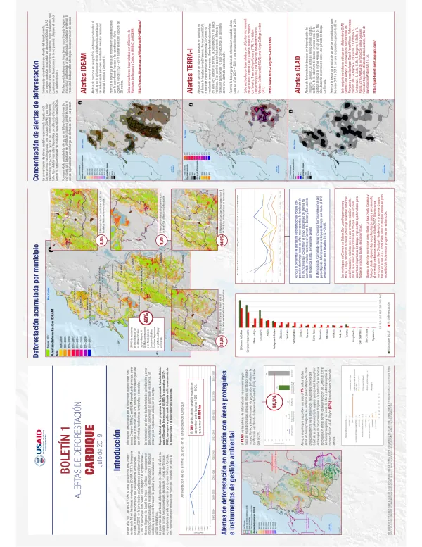 Infografia Boletin Cardique 220719