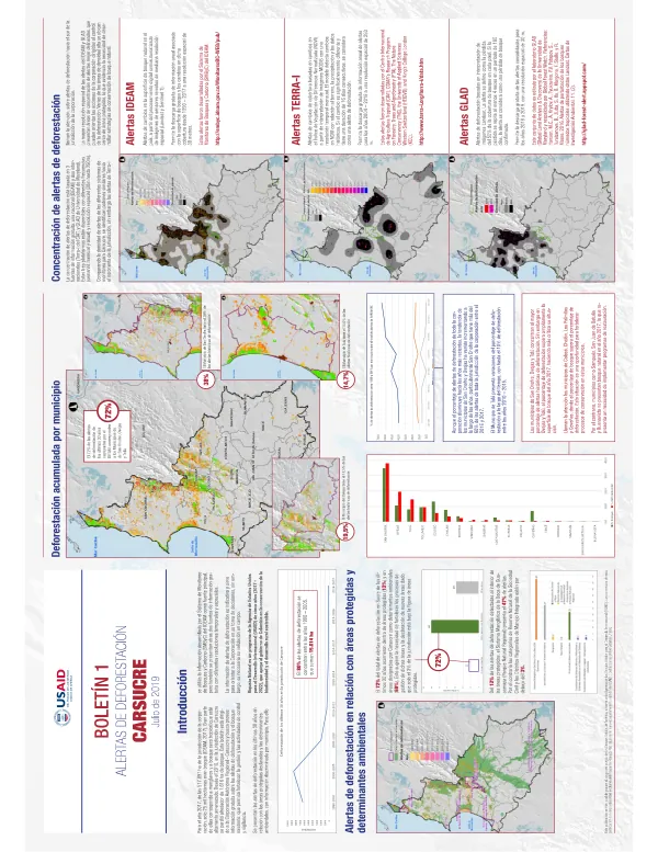 Infografia Boletin Carsucre 240719