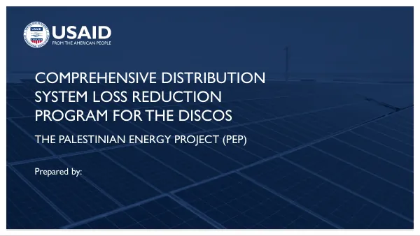 Comprehensive Distribution System Loss Reduction Program for the DISCOs