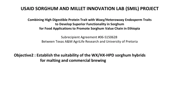 USAID Sorghum and Millet Innovation Lab (SMIL) Project: Combining High Digestible Protein Trait with Waxy/Heterowaxy Endosperm Traits to Develop Superior Functionality in Sorghum for Food Applications to Promote Sorghum Value Chain in Ethiopia