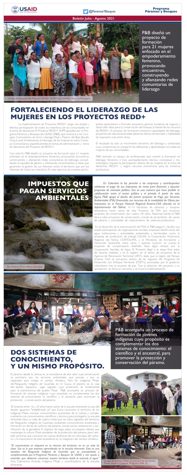 Boletín Noviembre - Diciembre 2019: Fortaleciendo el liderazgo de las mujeres en los proyectos REDD+
