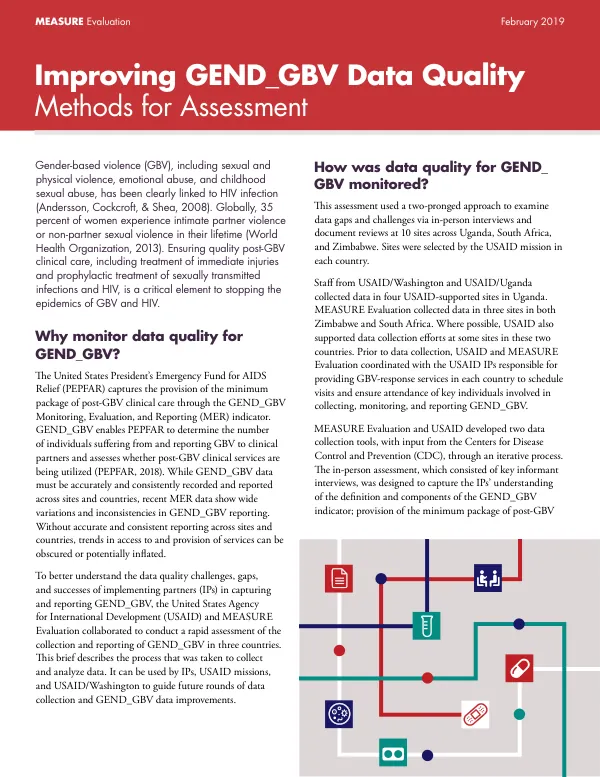 Improving GEND_GBV Data Quality: Methods for Assessment