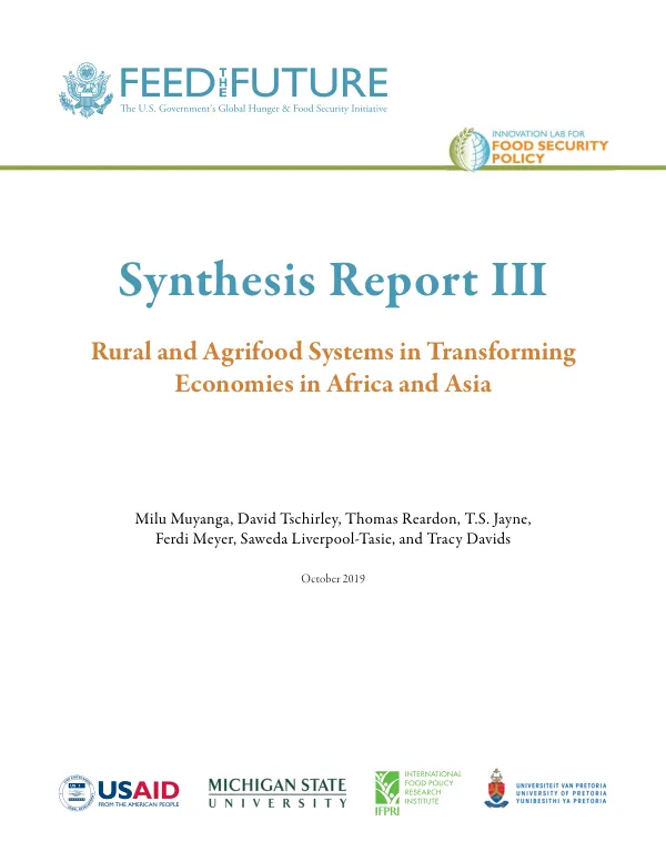 Synthesis Report III: Rural and Agrifood Systems in Transforming Economies in Africa and Asia