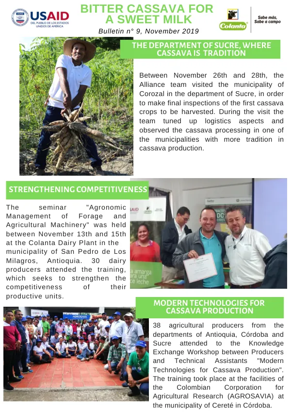 Bitter Cassava for a Sweet Milk: Bulletin n° 9, November 2019