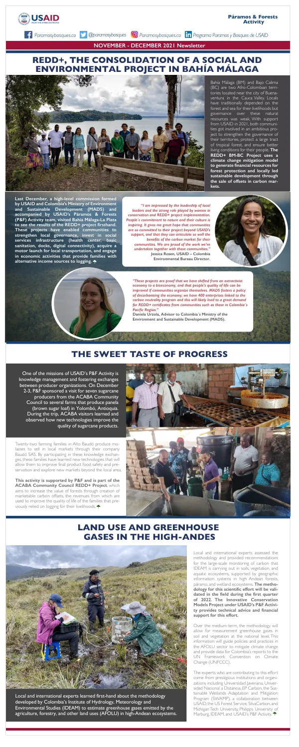 Boletín Noviembre - Diciembre 2019: REDD+, THE CONSOLIDATION OF A SOCIAL AND ENVIRONMENTAL PROJECT IN BAHÍA MÁLAGA