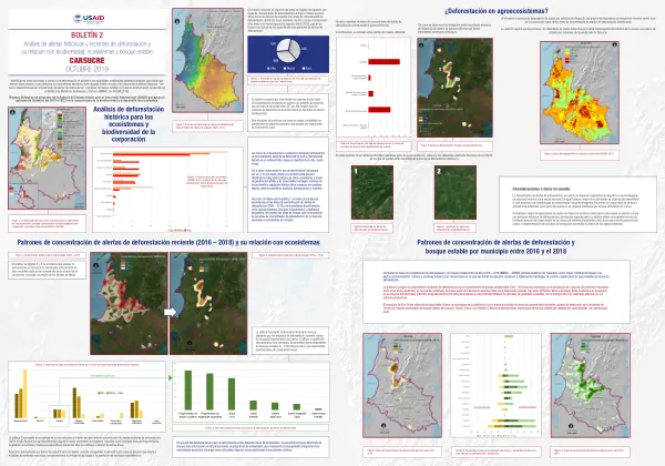 Análisis de alertas históricas y recientes de deforestación y su relación con biodiversidad, ecosistemas y bosque estable
