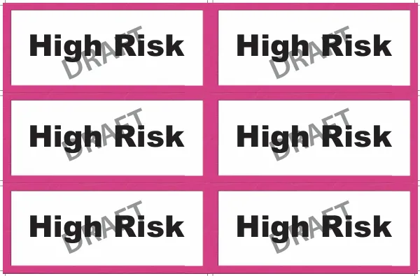 Risk Assessment Report