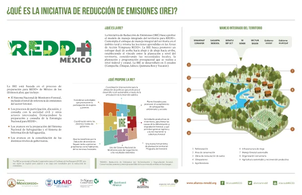 INFOGRAFIA 1