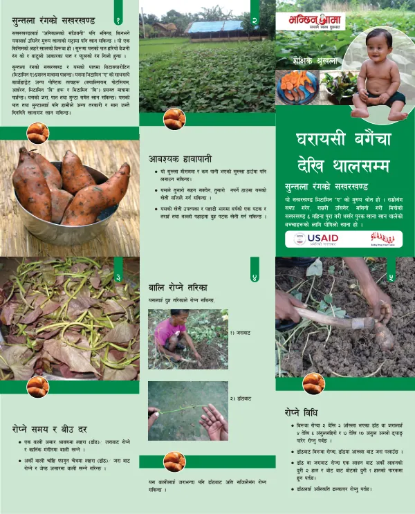 Suaahara - Garden to Plate, Helen Sweet Potato
