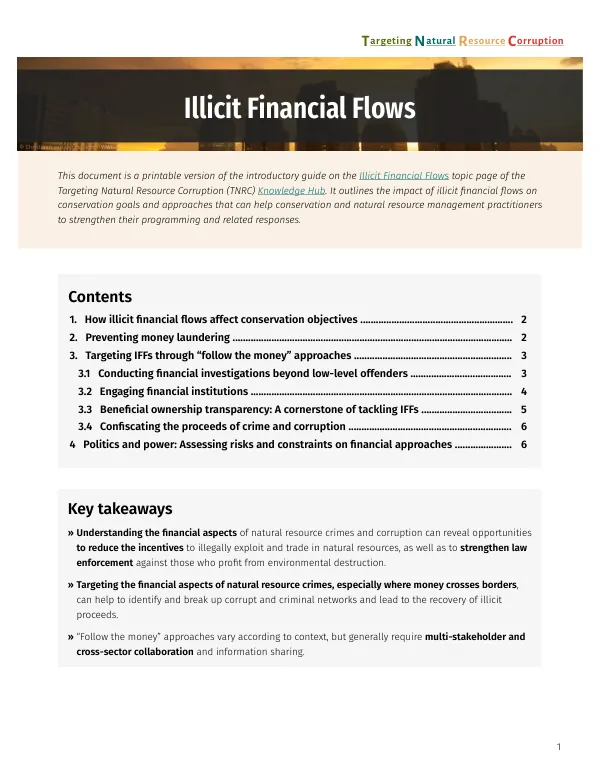 Illicit Financial Flows: Targeting Natural Resource Crimes