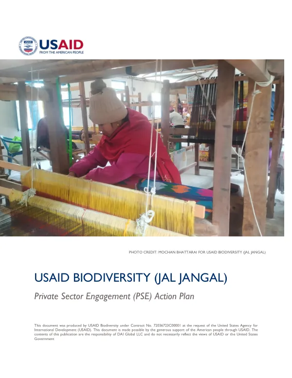 Private Sector Engagement (PSE) Action Plan