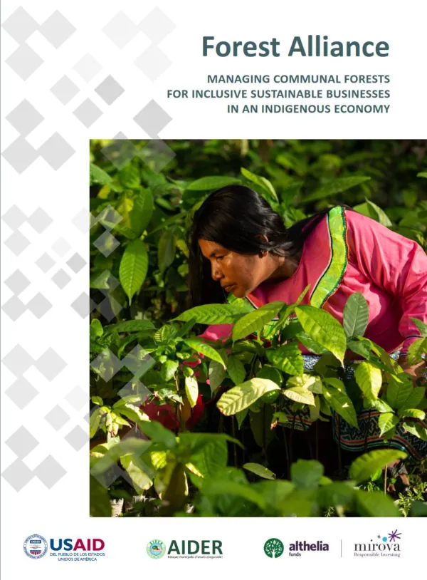 Forest Alliance Brochure