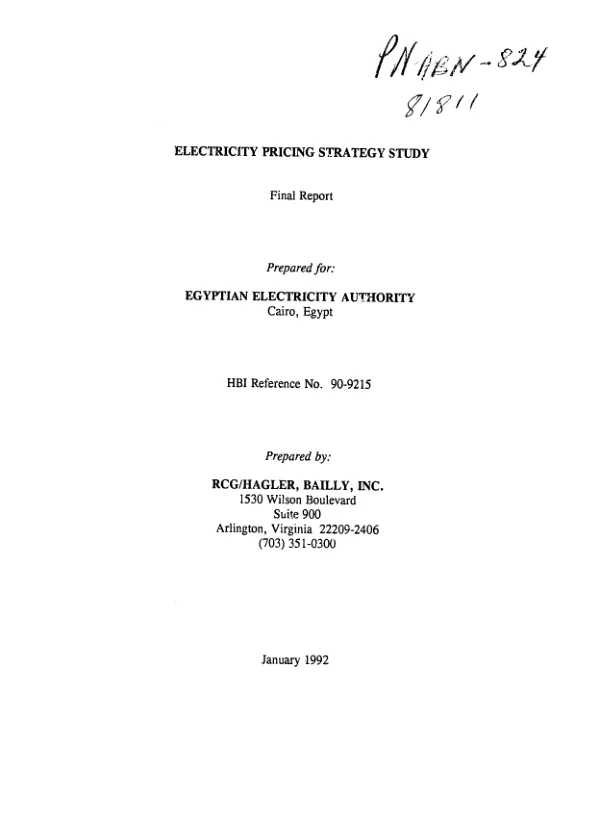 Electricity pricing strategy study [: main report]