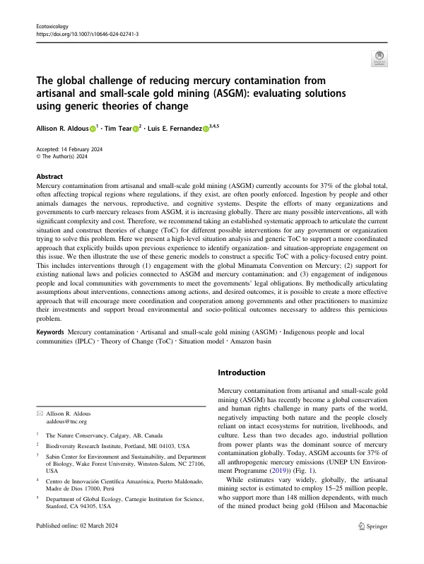 The global challenge of reducing mercury contamination from artisanal and small-scale gold mining (ASGM): evaluating solutions using generic theories of change