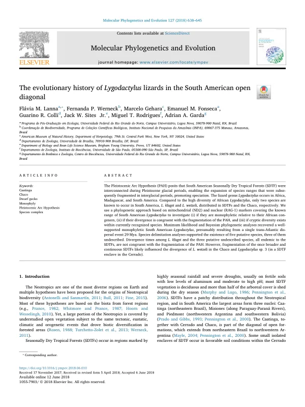 The evolutionary history of Lygodactylus lizards in the South American open diagonal