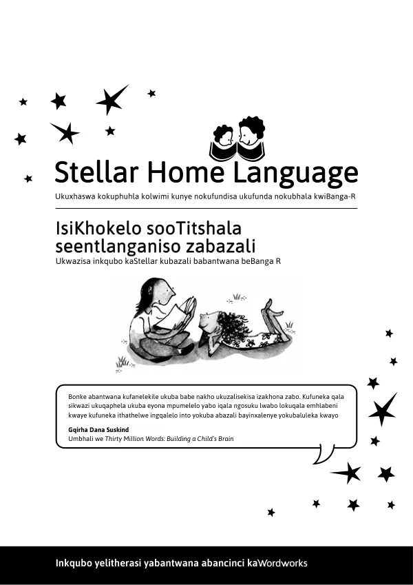 Final Performance Evaluation of the Stellar Programme