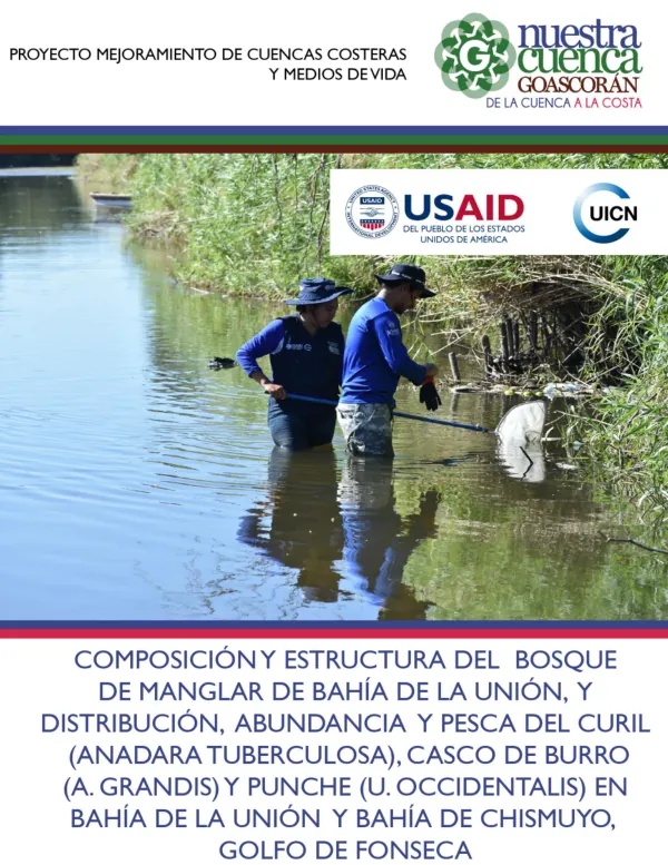 Composición y Estructura del Bosque de Manglar de Bahía de La Unión, y Distribución, Abundancia y Pesca del Curil (Anadara Tuberculosa), casco de Burro (A.Grandis) y Punche (U.Occidentalis) Bahía de La Unión y Bahía de Chismuyo en el Golfo de Fonseca