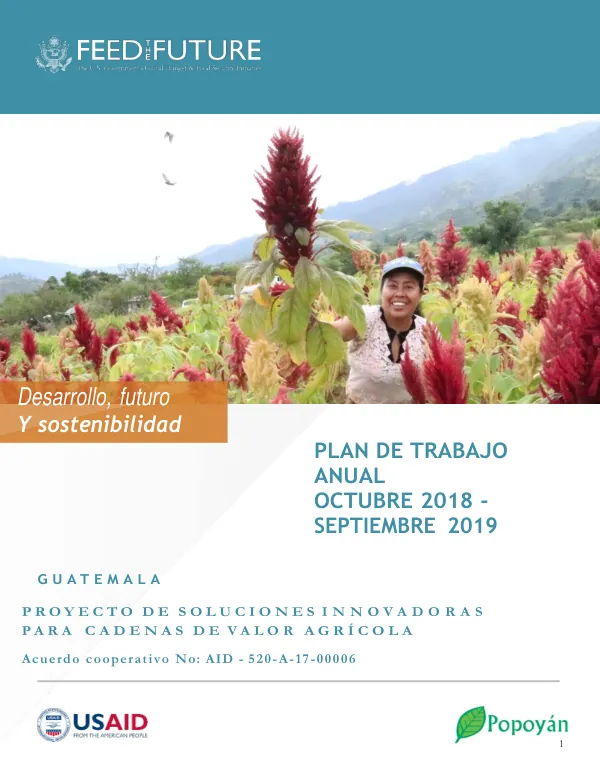Plan de Trabajo Anual: Alimentando el Futuro - Guatemala