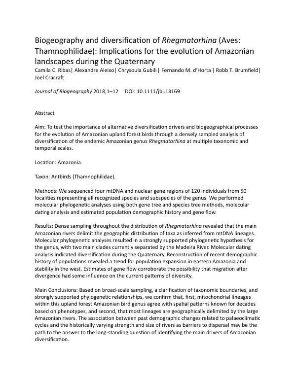 Biogeography and Diversification of Rhegmatorherina (Aves: Thamnophilidae)