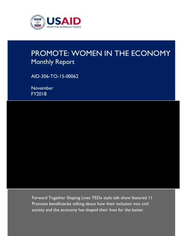 Promote: Women in the Economy Monthly Report November 2018