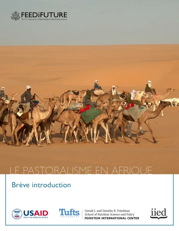 Le pastoralisme en Afrique : Brève introduction
