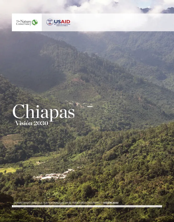 Transitando hacia la sustentabilidad en el territorio chiapaneco: Visión 2030