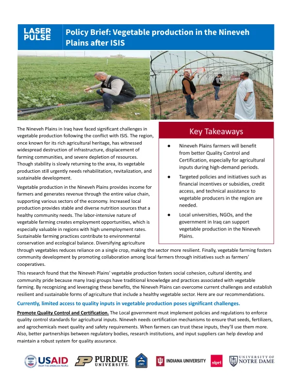 LASER PULSE Policy Brief - Vegetable production in the Nineveh Plains after ISIS