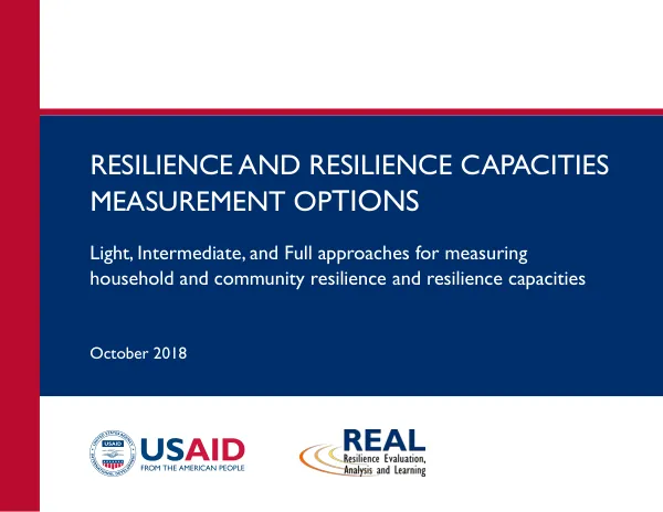 Resilience and Resilience Capacities Measurement Options