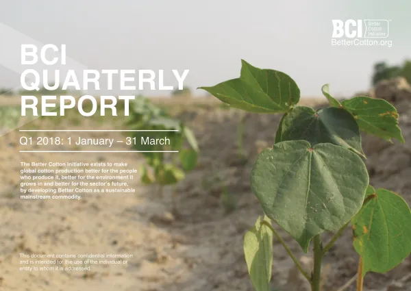 Q1 2018 Quarterly Report