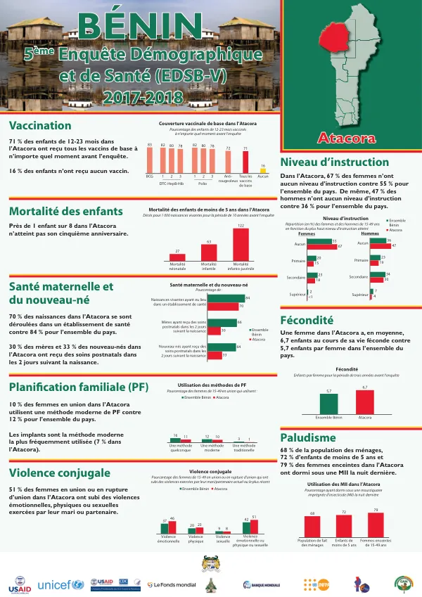 5ème Enquête Démographique et de Santé (EDSB-V) 2017-2018