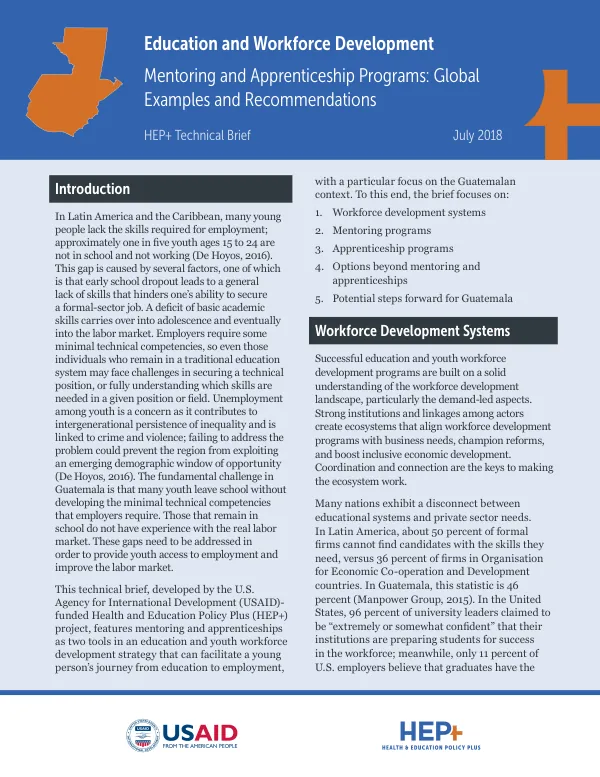 Mentoring and Apprenticeship Programs: Global Examples and Recommendations