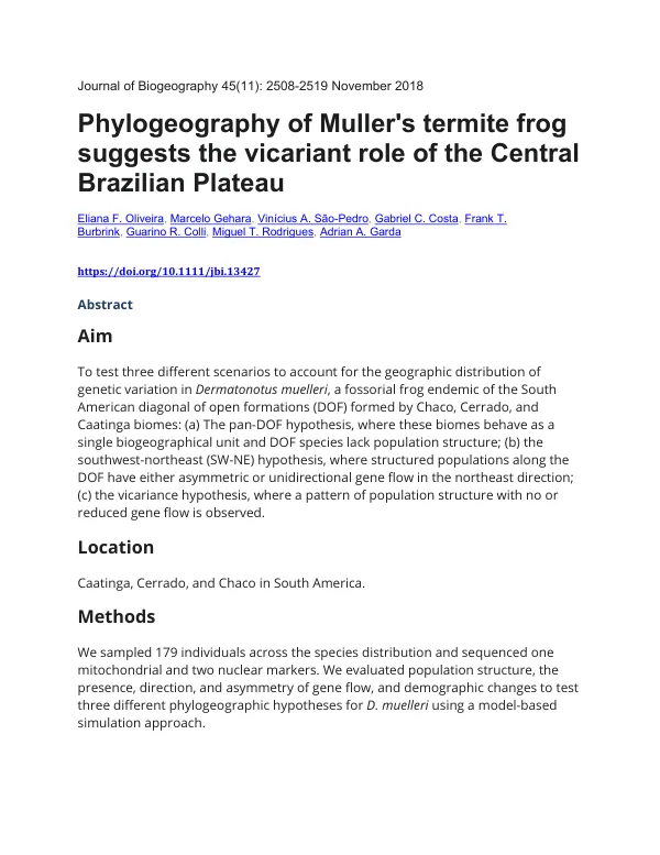 Phylogeography of Muller's termite frog suggests the vicariant role of the Central Brazilian Plateau