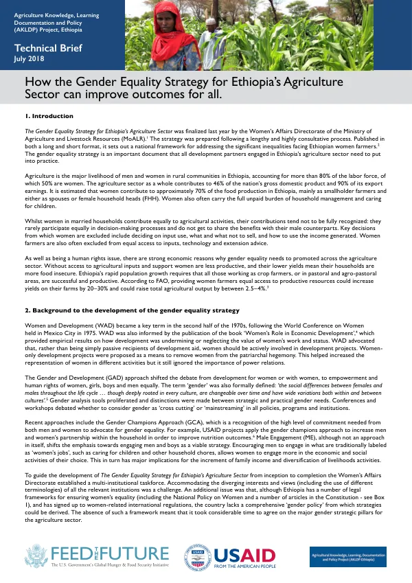 Gender Equality Strategy for Ethiopia’s Agriculture Sector: Improving Outcomes for All