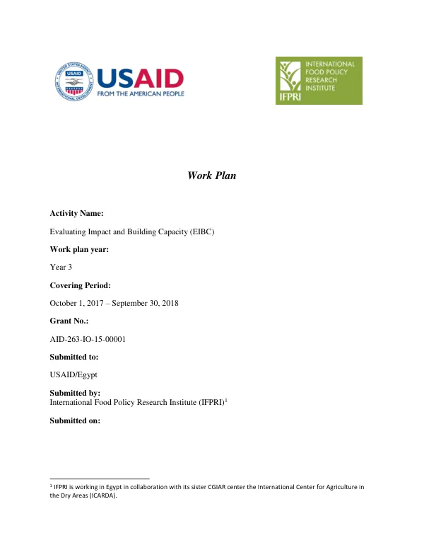 Evaluating Impact and Building Capacity (EIBC) Work Plan Year 3
