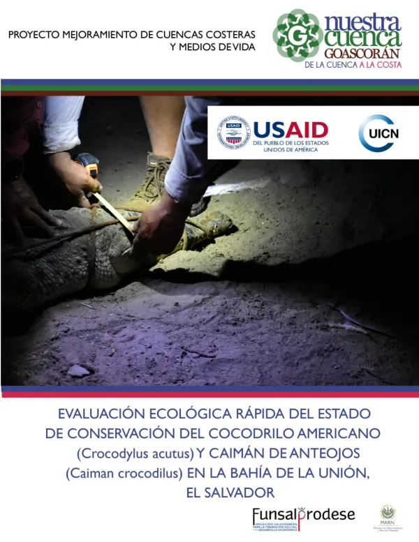 Evaluación ecológica rápida del estado de conservación del cocodrilo americano y caimán de anteojos en Bahía de La Unión, El Salvador