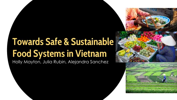 Towards Safe & Food Systems in Vietnam