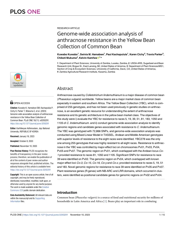Genome-wide association analysis of anthracnose resistance in the Yellow Bean Collection of Common Bean