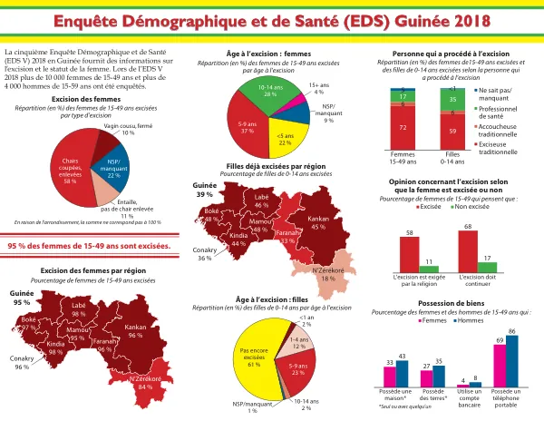 Enquête Démographique et de Santé (EDS) Guinée 2018