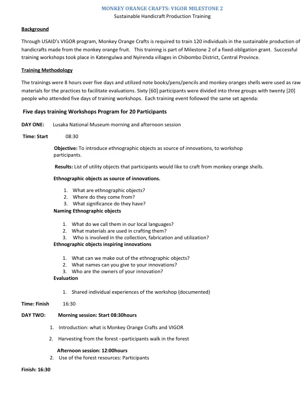 Sustainable Handicraft Production Training: VIGOR Milestone 2