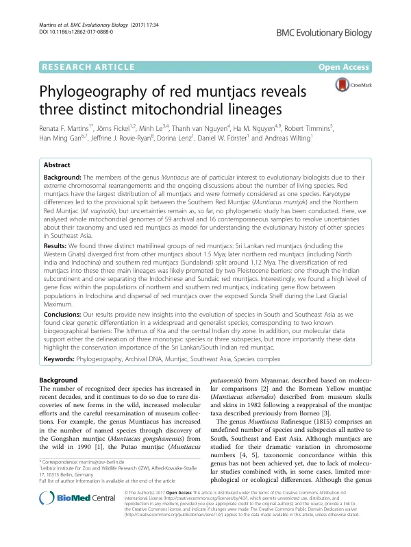 Phylogeography of red muntjacs reveals three distinct mitochondrial lineages