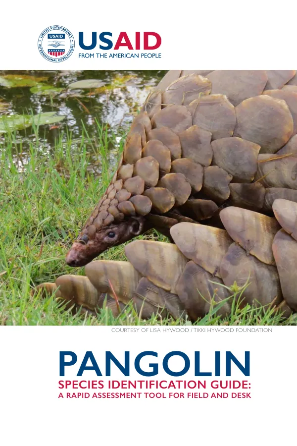 Pangolin Species Identification Guide: A Rapid Assessment Tool for Field and Desk