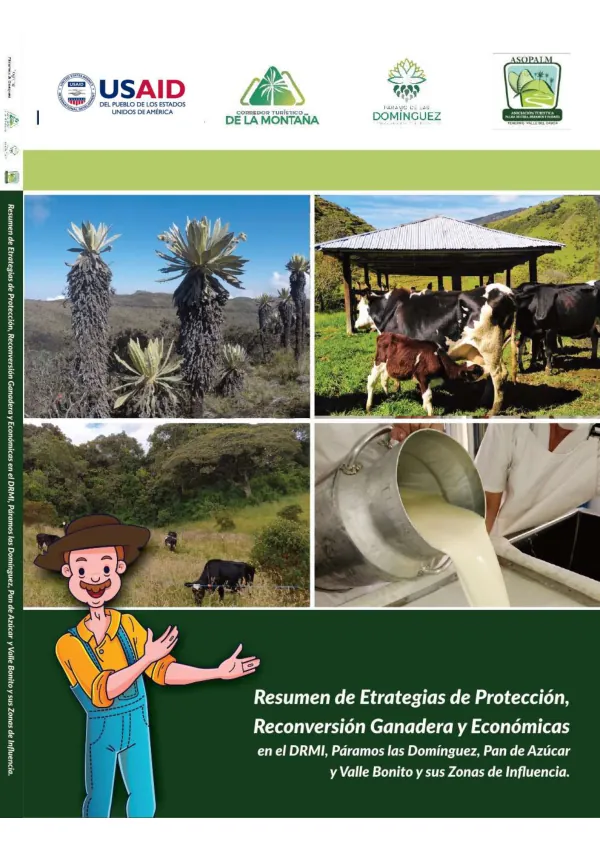 Resumen de Estrategias de Protección, Reconversión, Ganadera y Económicos en el DRMI, Paramos las Domínguez, Pan e Azúcar y Valle Bonito y sus Zonas de Influencia