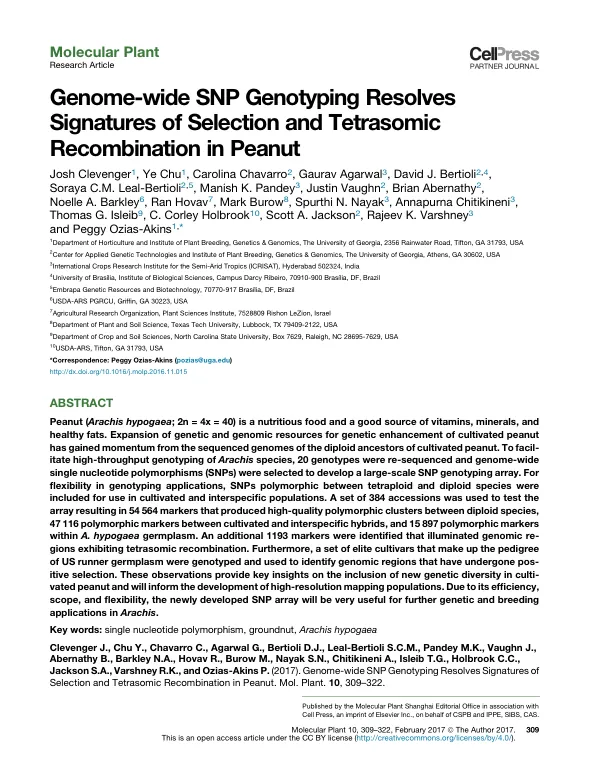 Genome-wide SNP Genotyping Resolves Signatures of Selection and Tetrasomic Recombination in Peanut
