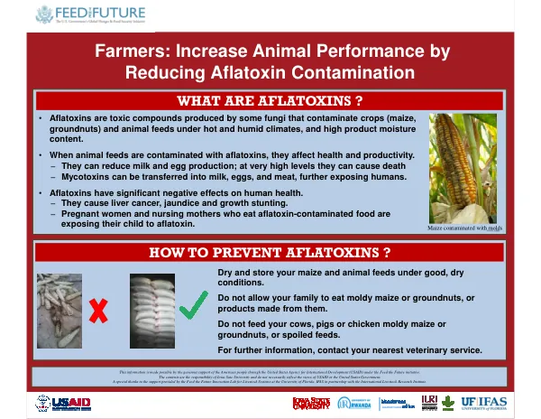 Reducing Aflatoxin Contamination to Increase Animal Performance